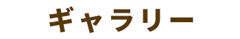 grazieの3ギャラリー